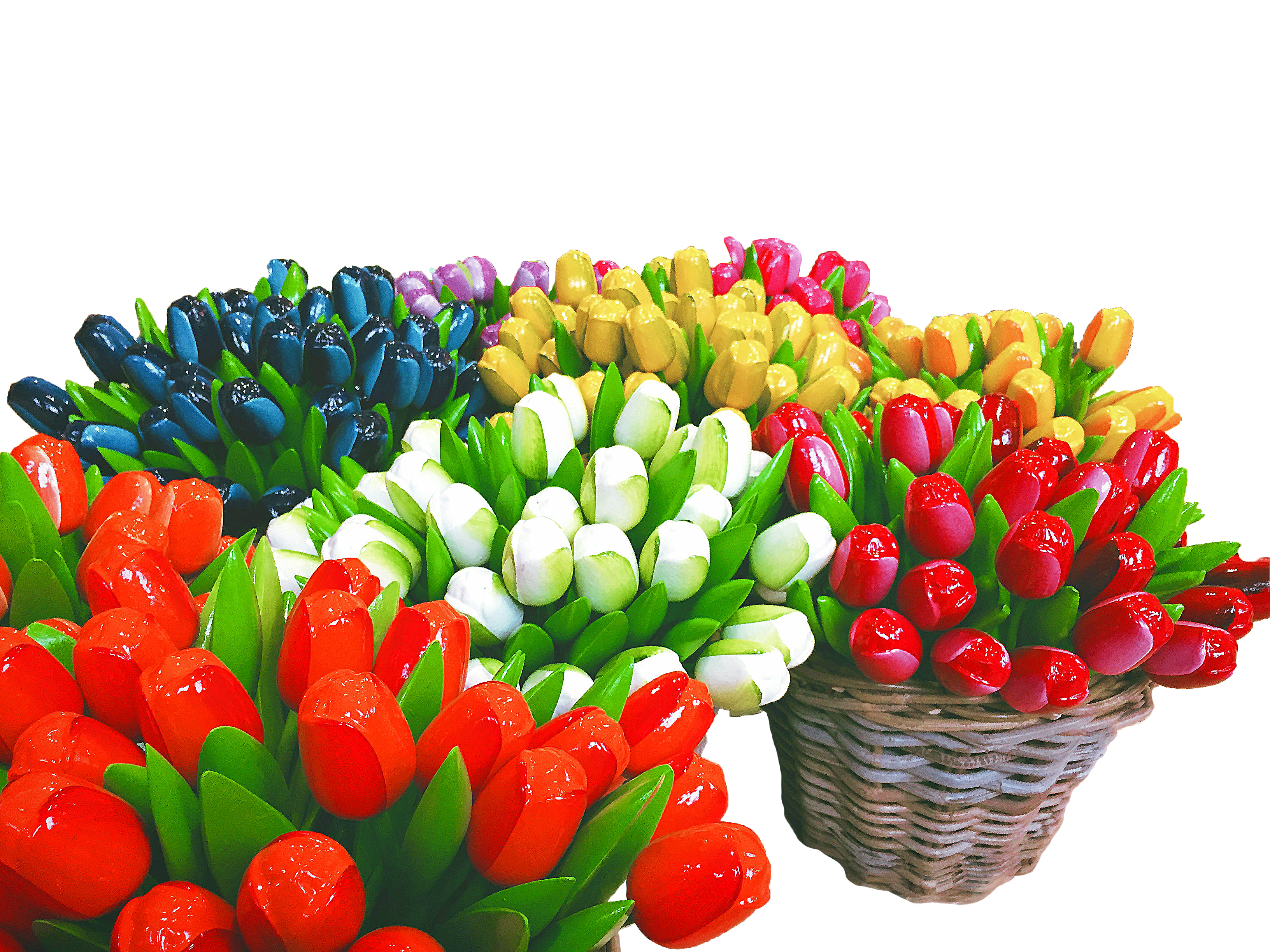 Internationaler Impfpass impfausweis 7