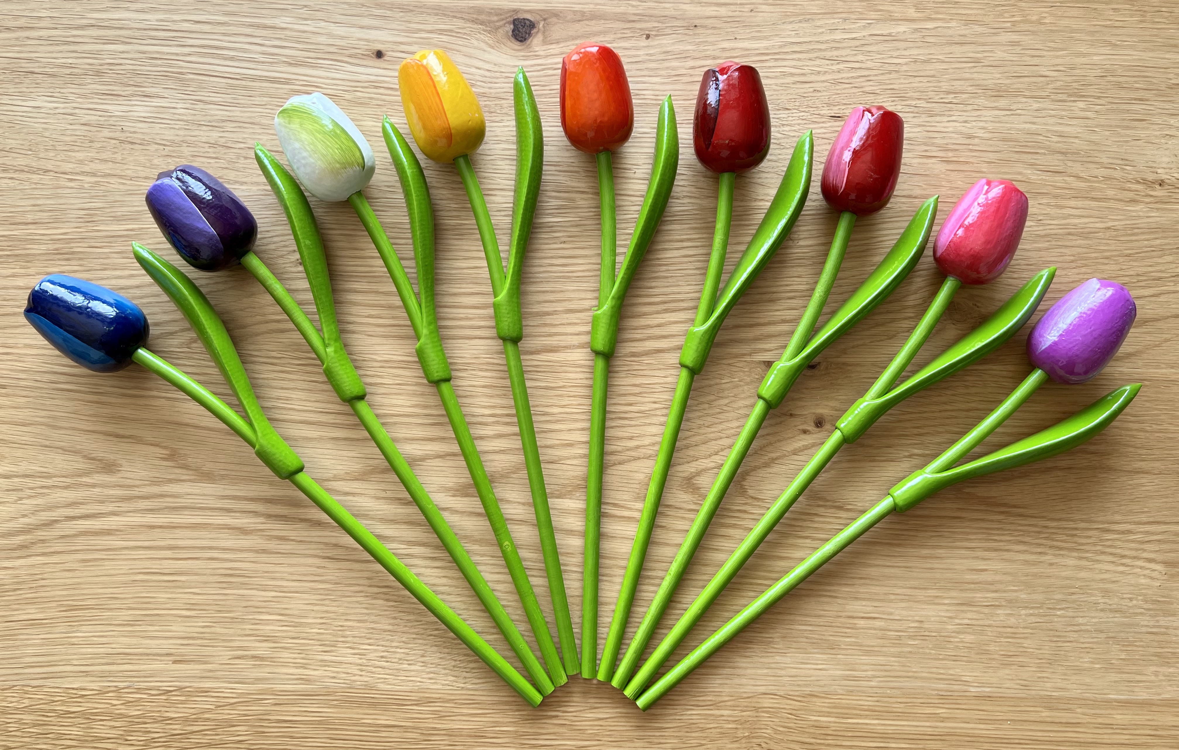 Holztulpe 34 cm-faecher-1